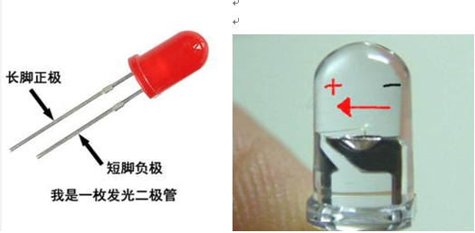 发光二极管的正负极