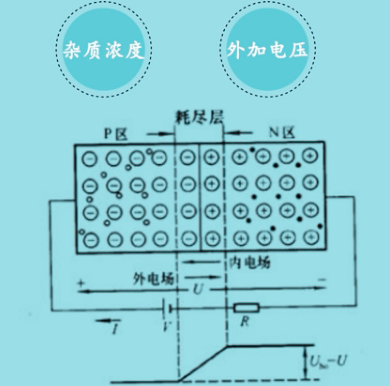 耗尽层 空间电荷区
